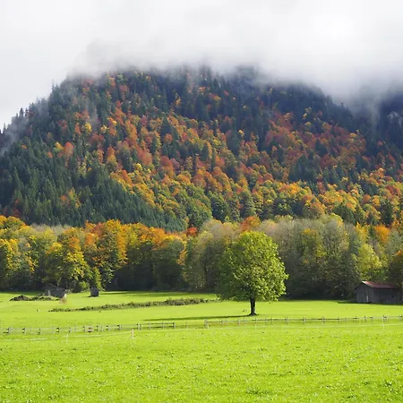 Moosbrugger Haus Elisabeth Apartment *